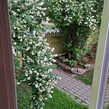 Greenery And Peace On The Edge Of The Center Таллин