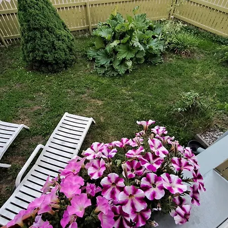 Greenery And Peace On The Edge Of The Center * Таллин